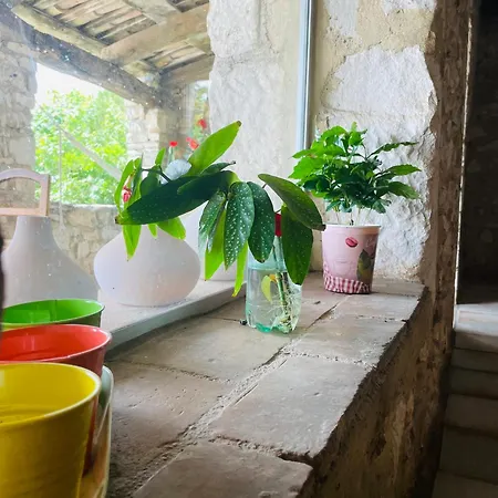 Mas Du Clap Villa